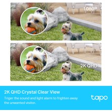 TP-Link Tapo C420S1, 2K QHD Kablosuz Bataryalı Güvenlik Kamerası, Yapay Zeka Desteği, Renkli Gece Görüşü, 180 Gün Şarj Süresi, Su Geçirmez, Yerel/Bulut Depolama, Sesli Alarm, Solar Panel Desteği + HUB
