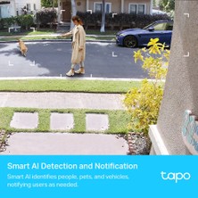 TP-Link Tapo C420S1, 2K QHD Kablosuz Bataryalı Güvenlik Kamerası, Yapay Zeka Desteği, Renkli Gece Görüşü, 180 Gün Şarj Süresi, Su Geçirmez, Yerel/Bulut Depolama, Sesli Alarm, Solar Panel Desteği + HUB