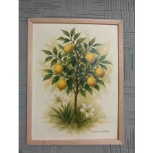 Limon Ağacının Sessizliği-Zambakların Gölgesinde A3 Boyutlu Premium Sanatsal Suluboya Baskısı