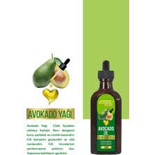 Avokado Cilt Bariyerini Güçlendiren Parlaklık Canlılık Kazandıran Yüz Ve Vücut Yağ 100 ml