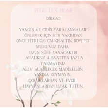4 Lü Kristal Taşlı Özel Tasarım %100 Doğal Soya Wax Mum
