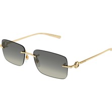 1703S 005 55 Large Gold Unisex Güneş