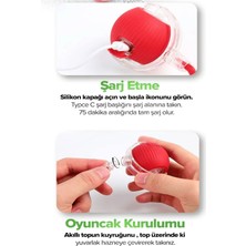 Kedi Köpek Hareketli Ipli Oyun Topu Oyuncağı + Kedi Otu Topu