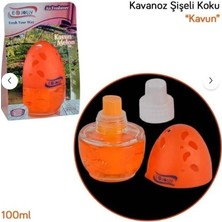 E-Jolly Kavanoz Araç Kokusu Kavun 100 ml