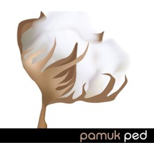 Ladyfit Pamuk Ped Normal 8’li x 12 Paket 96 Adet