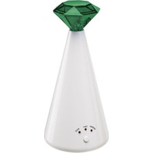 Lazerli Kedi Oyuncağı ile Eğlence ve Hareket Dolu Anlar