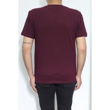 Santa Fistan Store Erkek Düz Spor Kesim Normal Kalıp Bisiklet Yaka T-Shirt