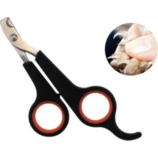 Çelik Tırnak Makası Yavru ve Yetişkin Evcil Hayvanlar Için