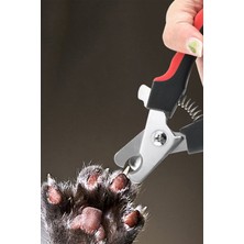Kedi ve Köpek Için Tırnak Makası ve Törpü Seti, Bakım ve Konfor Sağlar