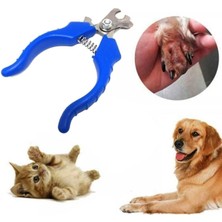 Çelik 12 cm Kedi ve Küçük Köpek Tırnak Makası, Profesyonel Kullanım Için Ideal