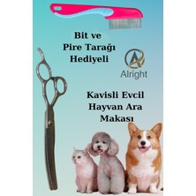 Kavisli Gümüş Ara Makası ve Pire Tarağı, Evcil Hayvanlar Için Profesyonel Set
