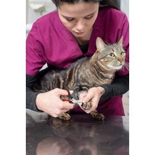 Kedi ve Köpekler Için Pratik Tırnak Bakım Aracı, Sağlıklı Pedikür ve Manikür Sağlar