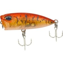 Sea Horse Bobby Kanky 40MM 3 gr Honey Tiger Shrimp