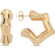 Stern Gold Küpe