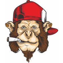 Şapkalı Maymun Sticker Araba Oto Motosiklet Etiket 00265