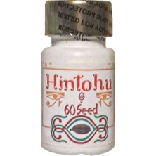 Hintohu 60LI Ağızda Dayanılmaz Kokuya Çiğnemelik