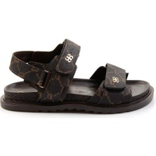 Kahve  Kadın Sandalet K05666030451