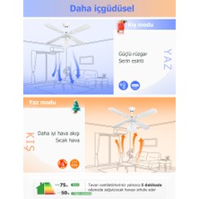 Dlc Group Poyraz Tavan Vantilatörü Beyaz 107 cm