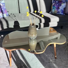 Faw Decor Aynalı Ahşap Ceviz Orta Sehpa Doğal Ağaç Ayaklı Modern Cam Tablalı Orta Sehpa