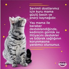 Whiskas Pouch Somonlu Yetişkin Kedi Konservesi 85 gr x 28 Adet