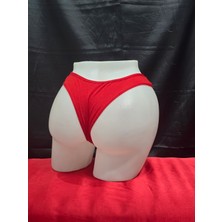 Dominant Brazilian Renkli 3 Lü Külot Set