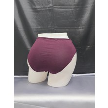 Batu Model Kadın Yüksek Bel Büyük Beden 3lü Külot