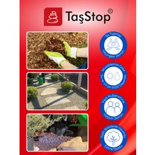 Isopave Taş Ve Kabuk Sabitleyici - Yapıştırıcı | Su Bazlı Taşstop 5kg | Çakıl Dağılmasına Son!
