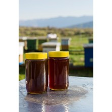 Kayısıcı Baba Erzurum Naturel Çiçek Balı (Süzme) 1 kg