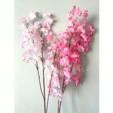 Japon Bahar Dalı Kiraz Çiçeği Sakura 2 Adet