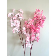 Japon Bahar Dalı Kiraz Çiçeği Sakura 2 Adet