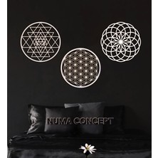 Numa Concept Yaşam Çiçeği 3'lü Beyaz Mdf Duvar Dekorasyon Her Biri 30x30 Cm