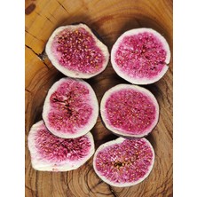 Beowell Gizli Gücüm İncirex 12 gr | Freeze-Dried Dondurularak Kurutulmuş İncir Atıştırmalığı