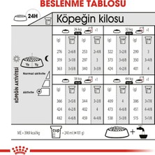 Royal Canin Maxi Dermacomfort Adult Yetişkin Köpek Maması 12 Kg