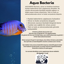 Aquamins Bacteria Regulator – Nitrat ve Fosfat Giderici 100 ml