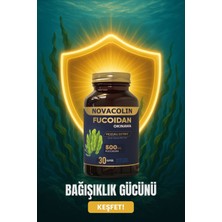 Novacolin Fucoıdan Okinawa 30 Kapsül