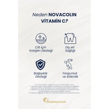 Novacolin Vitamin C Rose Hips 500 Mg 100 Tablet