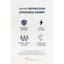 Novacolin Lıpozomal Demir 30 Kapsül