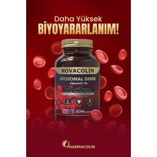Novacolin Lıpozomal Demir 30 Kapsül