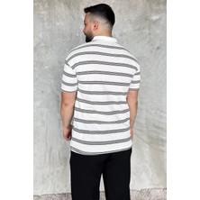 Mishar İtalia Polo Yaka Çizgili Erkek Tişört P-00017653