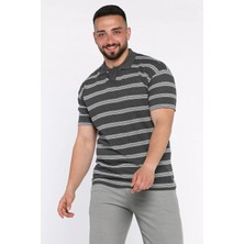 Mishar İtalia Polo Yaka Çizgili Erkek Tişört P-00017653