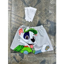 Erkek Çocuk Gri Deniz & Havuz Şortu