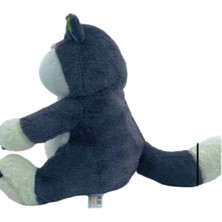 Polly Toyskedi Sinirli Asabi Kedi 45 cm