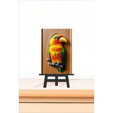 2 Adet Papağan Magnet Mini Tablo