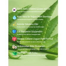 Modamkore 7'li Paket Aloe Vera Kore Yüz Maskesi – Yoğun Nem - Ferahlık