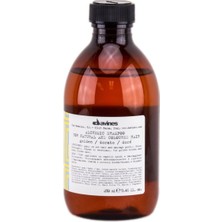  Davines Alchemic Golden Rengi Muhafaza Eden Şampuan 250 ml 2042 Trusty 187