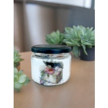 Gül Kokulu Doğal Soya Wax  Mum