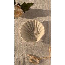 SZN HOMES Istridye Takı Tabağı 3 Lü Set Süslük Dekoratif Parlak Beyaz