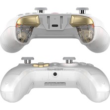GameSir Cyclone 2 Kablosuz Gamepad Oyun Kolu Rgb Hall Joystick For Pc/ android/ ios/ switch Çoklu Bağlantı Modu [ŞARJ İSTASYONU İÇERMEZ]