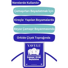 Çamaşır Çividi Mavi Toz Çivit Çamaşır Beyazlatıcı Çamaşır Çiviti 3 Paket 50GR