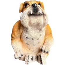 Dekoratif Oturan Bulldog Köpek Heykeli